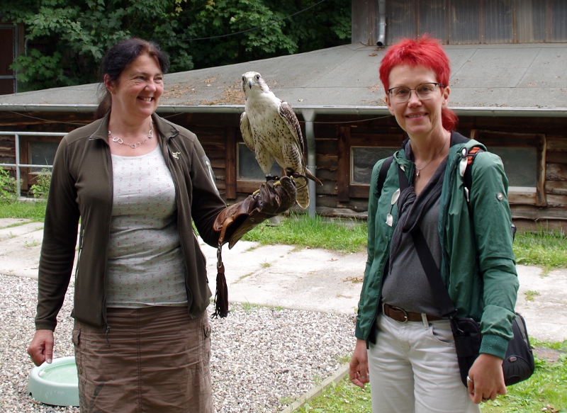 Frau Walter mit Sakerfalke Ölprinz und Steffi Forberig von terrestris