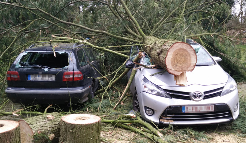 Ein durch einen Baum zerstörter PKW