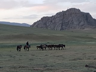 The horse shepherd on his way home